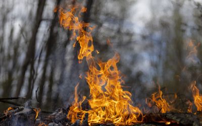 Mastering the Flames: CRCS Guide to Wildfire Preparedness