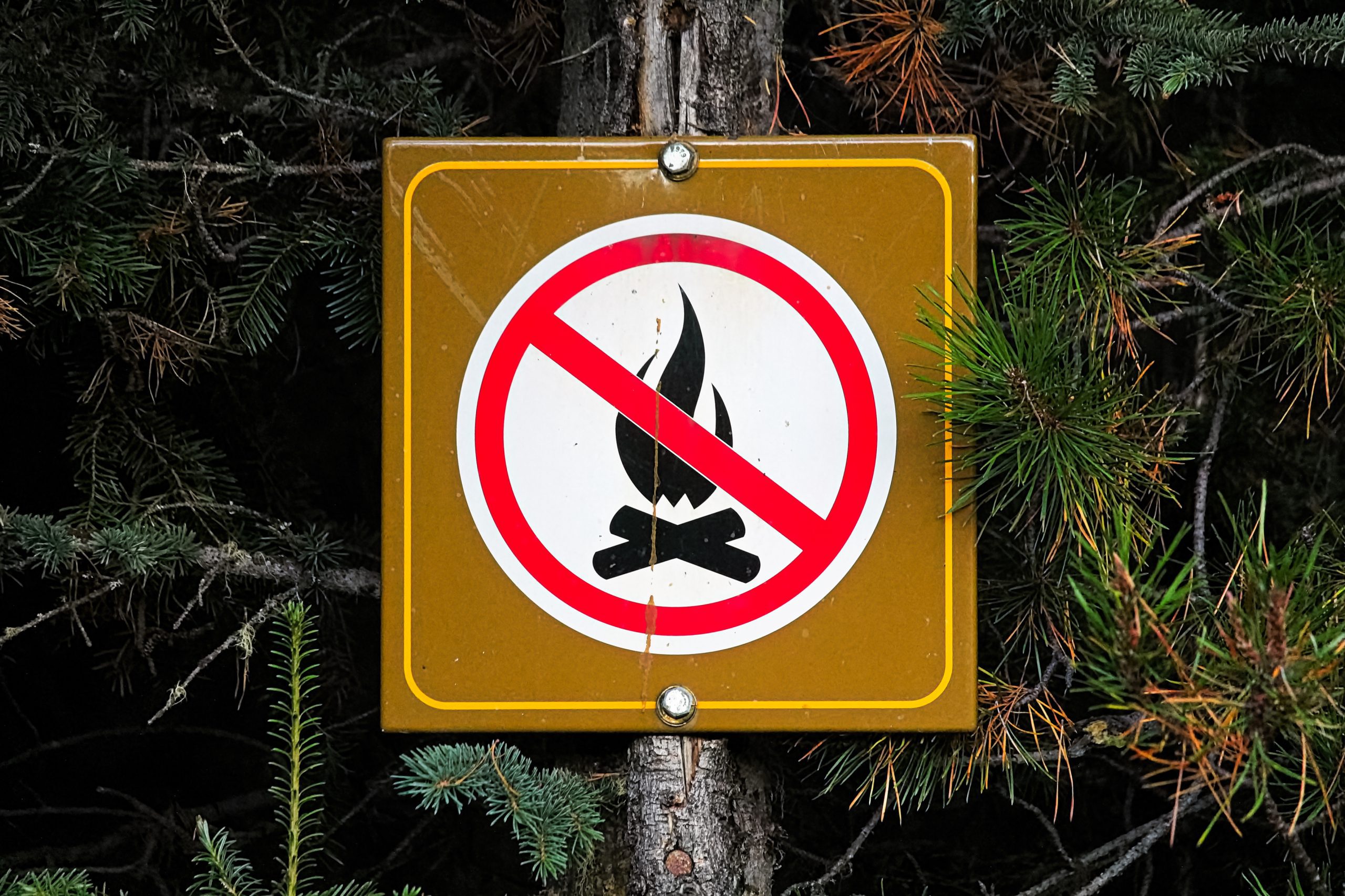 Understanding Fire Bans: Why They're Implemented and How to Stay Safe ...