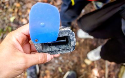 Exploring the Fundamentals of Geocaching: A Beginner’s Guide