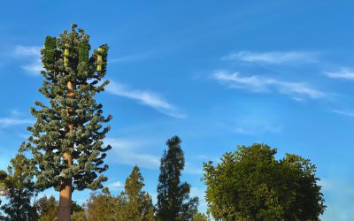 The Basics of Building a Stealth Antenna for Urban Environments