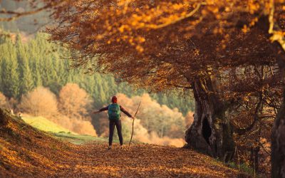 Fall Prep: Weatherproofing Your Coax Before the Snow